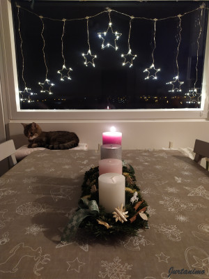Adventn vnec 2021