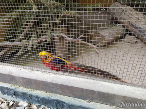 ZOO koutek 6.5.23