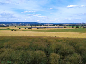Broumov 18.7.23