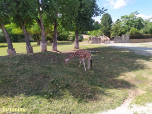 ZOO Dvr Krlov