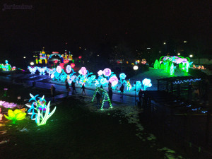 Winter Wonderland 9.12.23